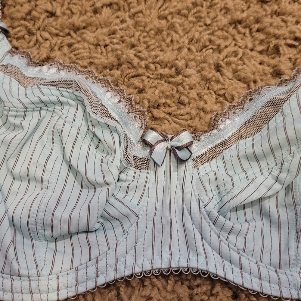 Fanstasie "Lois" Bra.. size 34D..New!